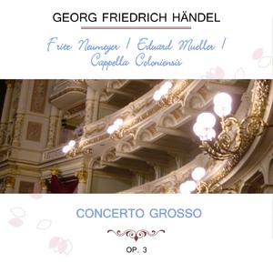 Concerto grosso Nr. 3, Op. 3: Largo e staccato / Allegro