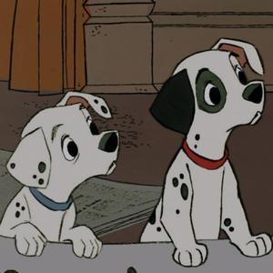 tru colours (feat. kaan)