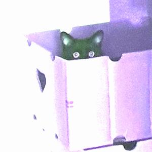 hundertwasser (feat. valou & katy)