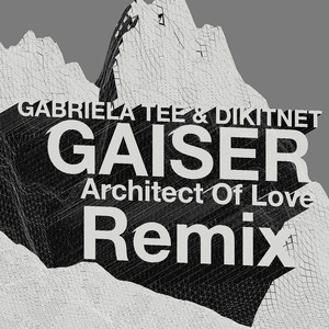 Gaiser (Architect of Love Remix)