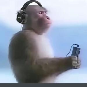 开挖掘机