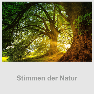 Stimmen Der Natur