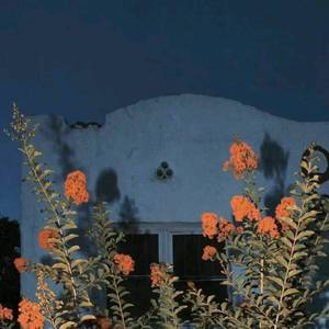 多想在平庸的生活拥抱你（翻自 隔壁老樊）