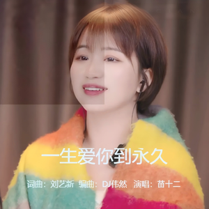 一生爱你到永久 (DJ伟然版)