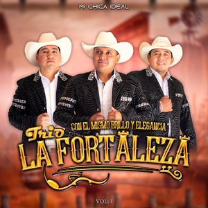 Polka Honor y Patria