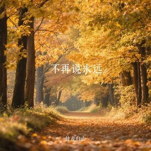 不再说永远(Cover 大笨)
