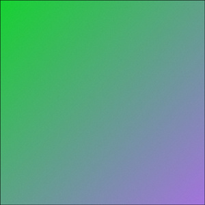 12 JEWELS (Cover)
