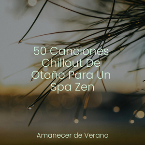 Ecos nostálgicos en brasas