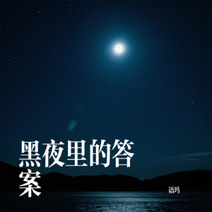 黑夜里的答案