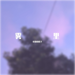 雾里（片段）