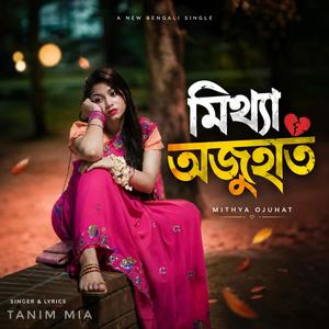 মিথ্যা অজুহাত