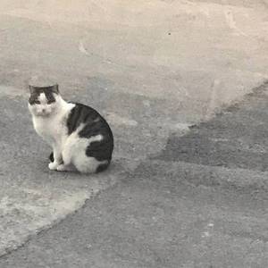 DEAMN-Save me（seo.rt remix）