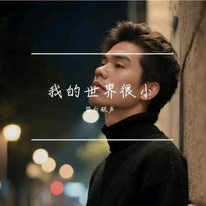 我的世界很小