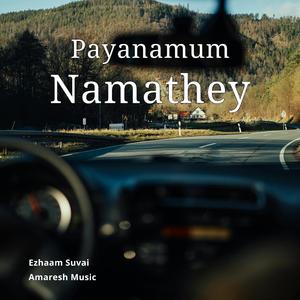 Payanamum Namathey