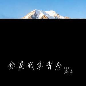 你是我拿青春换的宝 (Cover 李发发)
