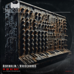 In Joy We Rust (Peter Groskreutz Remix)