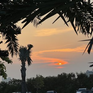 一不小心爱上你