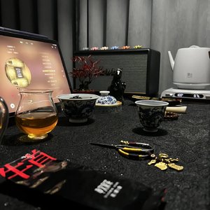 都说高处不胜寒都在爬