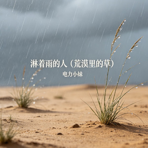 淋着雨的人（荒漠里的草）
