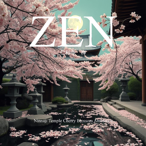 仁和寺 桜舞う庭