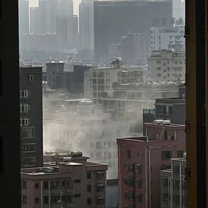 红豆