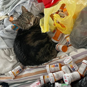 pinz (feat. kindmile)