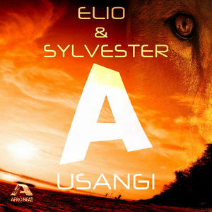 Usangi (Original Mix)