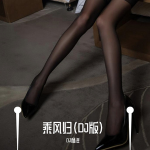 乘风归（DJ版）
