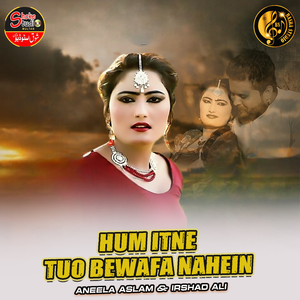 Hum Itne Tuo Bewafa Nahein (1)