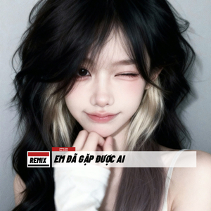 Em Đã Gặp Được Ai (Remix)