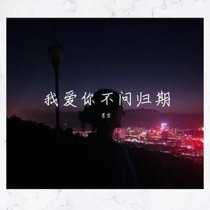 我爱你不问归期