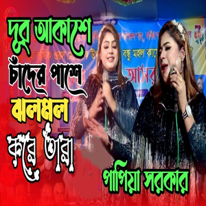 দূর আকাশে চাঁদের পাশে ঝলমল করে তারা