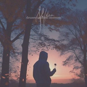 Um Belo Dia em Que Não Encontrei Flores