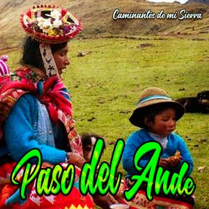 Paso del Ande