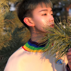 隐形的翅膀(合唱版)