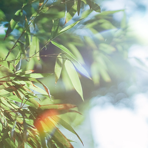 漳州古城大街你和我