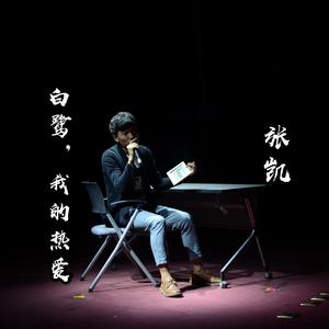 白鹭，我的热爱