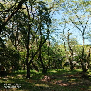 朝に心配しないで