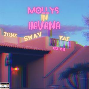 MOLLYS IN HAVANA