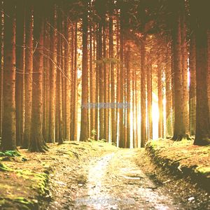 温和早上放松梦想