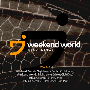 Nighthawks (The Violet Club Mix)