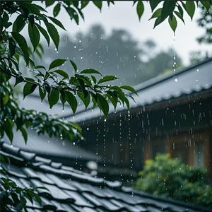 大自然睡眠频率 432HZ放松雨声