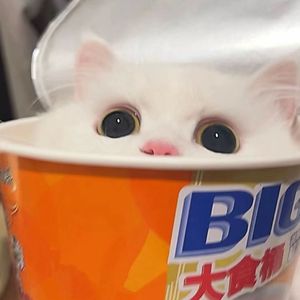 ₊⋆Telling You⋆☆