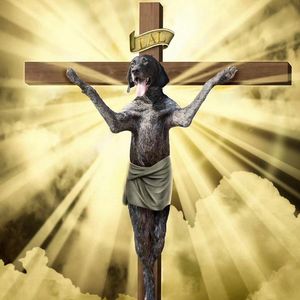 DRAKE*GALI*CAPPER type beat（free）