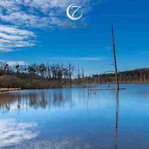 风轻拂 (风琴曲)