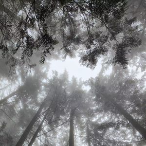 This time（speed up）