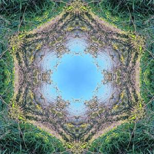 Divine or semi-divine ruler, at once god and king, upon whose life, and unimpaired vigor, the existence of his kingdom and people directly rely