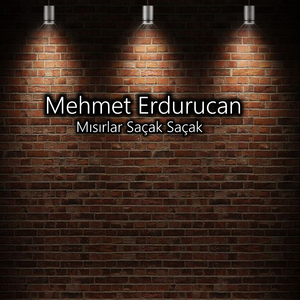 Mısırlar Saçak Saçak