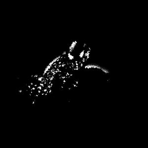 One, Sława, Pieniądz