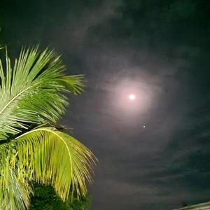 Multidimensional Pain Relief